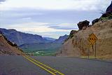 Big Bend 03